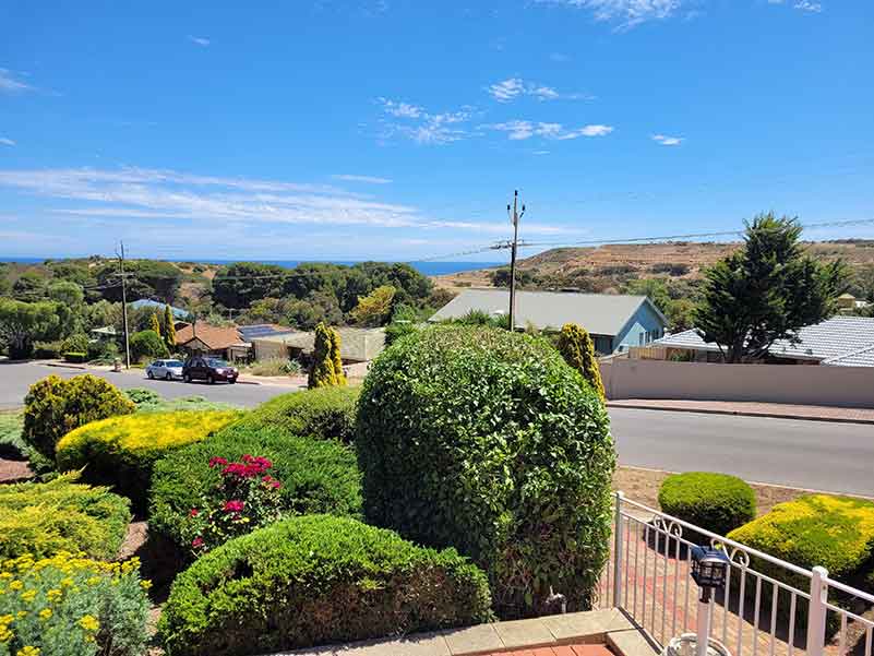 Gardening Services Adelaide Hedge trimming