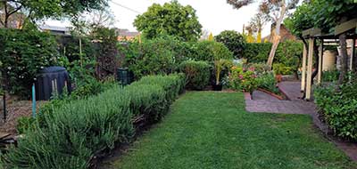 Garden Maintenance Adelaide Jonathan Stopford 