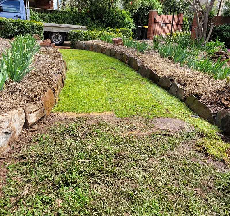 Garden maintenance Adelaide Jonathan Gardener