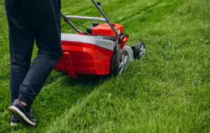 Garden Maintenance Adelaide Jonathan Stopford 