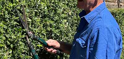 Garden Maintenance Adelaide Jonathan Stopford 