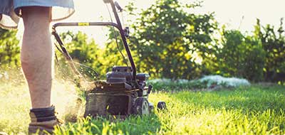 Garden Maintenance Adelaide Jonathan Stopford 